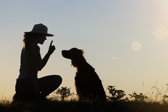 アニマルコミュニケーションセラピー