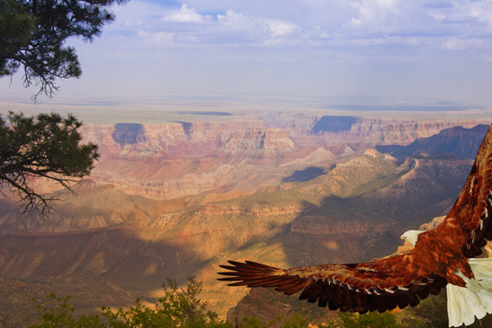 ストーンメンテナンス