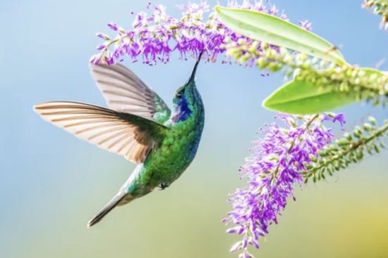 スピリチュアルヘルスケア カウンセリング