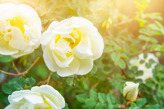 パーソナル空間鑑定