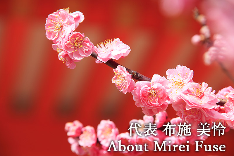 布施 美怜について